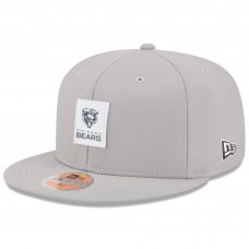 Бейсболка Chicago Bears New Era Gray 2025 Sideline 59FIFTY