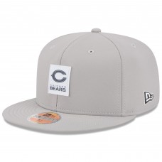 Бейсболка Chicago Bears New Era Gray 2025 Sideline 59FIFTY