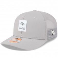 Бейсболка Baltimore Ravens New Era Gray 2025 Sideline 9SEVENTY