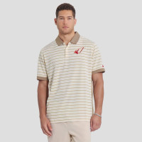 Поло Arizona Cardinals Nike Rivalries Collection Sideline Victory Striped Dri-FIT - Natural