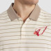 Поло Arizona Cardinals Nike Rivalries Collection Sideline Victory Striped Dri-FIT - Natural