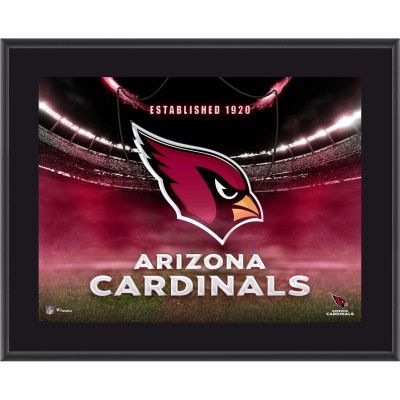 Arizona Cardinals Fanatics Authentic 10.5 x 13 Horizontal Team Logo Sublimated Plaque