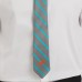 Miami Dolphins J. Palmer Game Day Tie