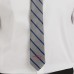 New England Patriots J. Palmer Game Day Tie