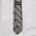 Cleveland Browns J. Palmer Game Day Tie