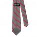 Atlanta Falcons J. Palmer Game Day Tie