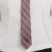 Arizona Cardinals J. Palmer Game Day Tie