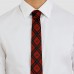 San Francisco 49ers J. Palmer Game Day Tie