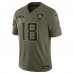 Игровая джерси Minnesota Vikings Justin Jefferson Nike Olive 2025 Salute to Service Limited