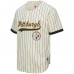 Pittsburgh Steelers Troy Polamalu Mitchell & Ness Cream Name & Number Mesh Button-Up Baseball Jersey