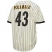 Pittsburgh Steelers Troy Polamalu Mitchell & Ness Cream Name & Number Mesh Button-Up Baseball Jersey