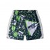 Seattle Seahawks Chubbies College Navy Mesh Shorts