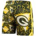Шорты Green Bay Packers Chubbies Green Mesh