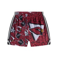 Arizona Cardinals Chubbies Cardinal Mesh Shorts