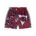 Arizona Cardinals Chubbies Cardinal Mesh Shorts