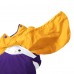 Minnesota Vikings Pro Player Purple/Gold Tape Full-Zip Hooded Jacket