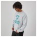Miami Dolphins Champion Heather Gray Reverse Weave Fleece Pullover Sweatshirt