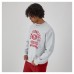 San Francisco 49ers Champion Heather Gray Reverse Weave Fleece Pullover Sweatshirt