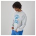 Кофта Detroit Lions Champion Heather Gray Reverse Weave Fleece