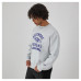 Свитшот Baltimore Ravens Champion Heather Gray Reverse Weave Fleece Pullover