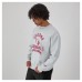 Arizona Cardinals Champion Heather Gray Reverse Weave Fleece Pullover Sweatshirt