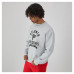 Свитшот Atlanta Falcons Champion Heather Gray Reverse Weave Fleece Pullover