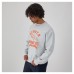 Кофта Denver Broncos Champion Heather Gray Reverse Weave Fleece