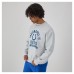 Indianapolis Colts Champion Heather Gray Reverse Weave Fleece Pullover Sweatshirt