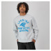 Свитшот Carolina Panthers Champion Heather Gray Reverse Weave Fleece Pullover