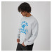 Свитшот Carolina Panthers Champion Heather Gray Reverse Weave Fleece Pullover