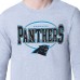 Футболка с длинным рукавом Carolina Panthers Starter Heather Gray Team Track Graphic