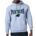 Толстовка Carolina Panthers Starter Heather Gray Team Track Graphic