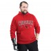Arizona Cardinals G-III Sports by Carl Banks Cardinal Adaptive Team Spirit Graphic Fleece Pullover Hoodie