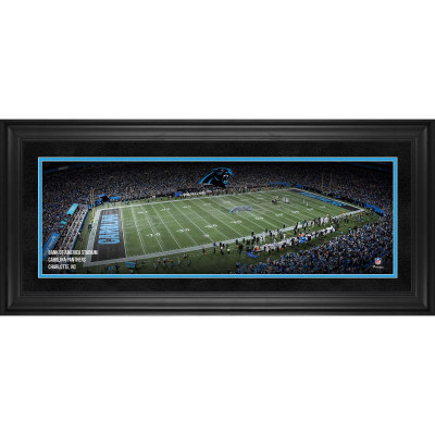Панорама Carolina Panthers Fanatics Authentic Framed 10 x 30 Bank of America Stadium Photograph