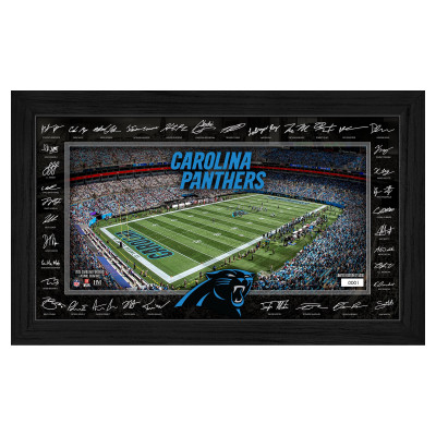 Панорама Carolina Panthers Highland Mint 12 x 20 2025 Signature Gridiron Framed
