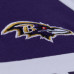 Baltimore Ravens Mitchell & Ness Black/Purple Head Coach Tank Top