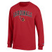 Футболка с длинным рукавом Arizona Cardinals Champion Cardinal Arch Over Logo