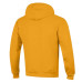 Толстовка Pittsburgh Steelers Champion Gold Powerblend Arch over Logo