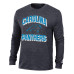 Футболка с длинным рукавом Carolina Panthers Champion Heather Black Ultimate Tri-Blend