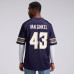 Джерси Andrew Van Ginkel Minnesota Vikings Nike 2026 Rivalries Collection Game - Purple