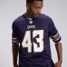 Джерси Andrew Van Ginkel Minnesota Vikings Nike 2026 Rivalries Collection Game - Purple