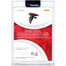 Карточка Roddy White Atlanta Falcons Autographed 2025 Panini Immaculate Collection Platinum Immaculate Ink #II-RWE #1/1