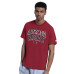 Футболка Arizona Cardinals Starter Cardinal/Heather Gray Two-Pack Logo Set