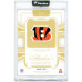 Карточка Andy Dalton Cincinnati Bengals 2025 Panini Flawless Purple Down & Dirty Game-Used Nike Logo Tri-Color Relic #11 #7/15