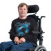 Свитшот Carolina Panthers G-III Sports by Carl Banks Black Adaptive Shading City Fleece