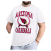 Футболка Arizona Cardinals G-III Sports by Carl Banks White Team Laurel Adaptive