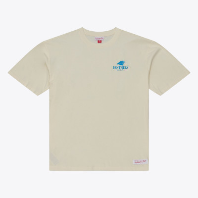 Футболка Carolina Panthers Mitchell & Ness Cream Core Essentials Micro Logo