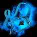 Ремень Carolina Panthers Vera Bradley Clear Small- Bag