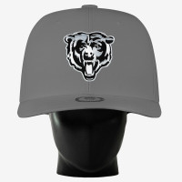 Бейсболка Unisex Chicago Bears Noggin Boss Gray Big