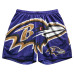 Шорты Baltimore Ravens Chalk Line Purple Big Logo Retro